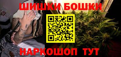 индика Партизанск