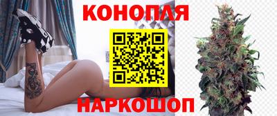 индика Партизанск
