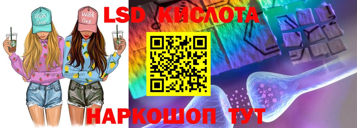 Сальск  Лсд 25 экстази кислота  Лсд 25 экстази кислота  Вход с VPN 