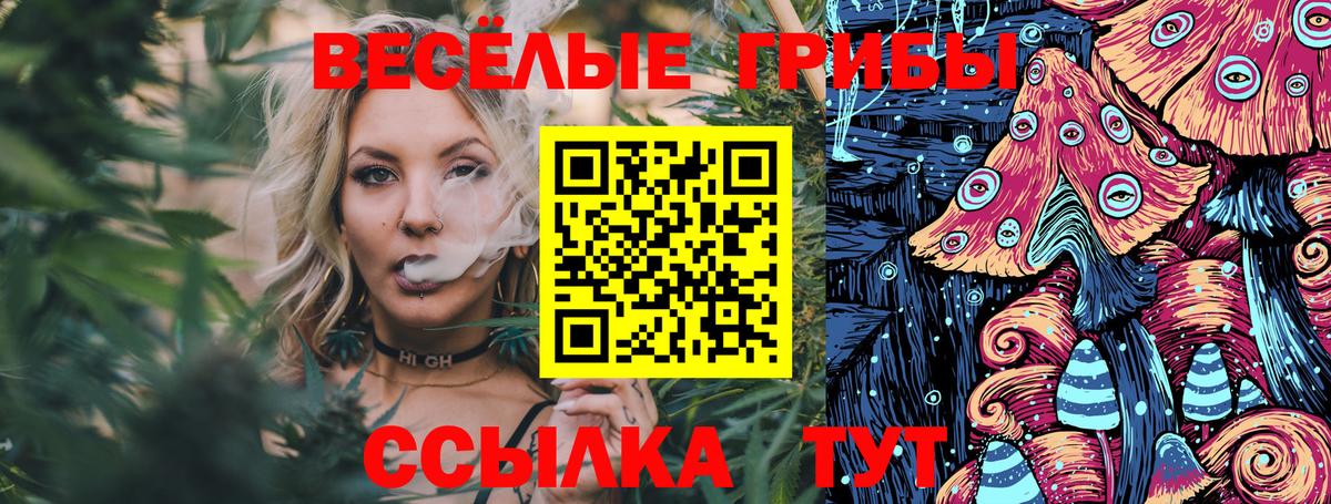 Галлюциногенные грибы GOLDEN TEACHER  Вход с VPN  Сальск 