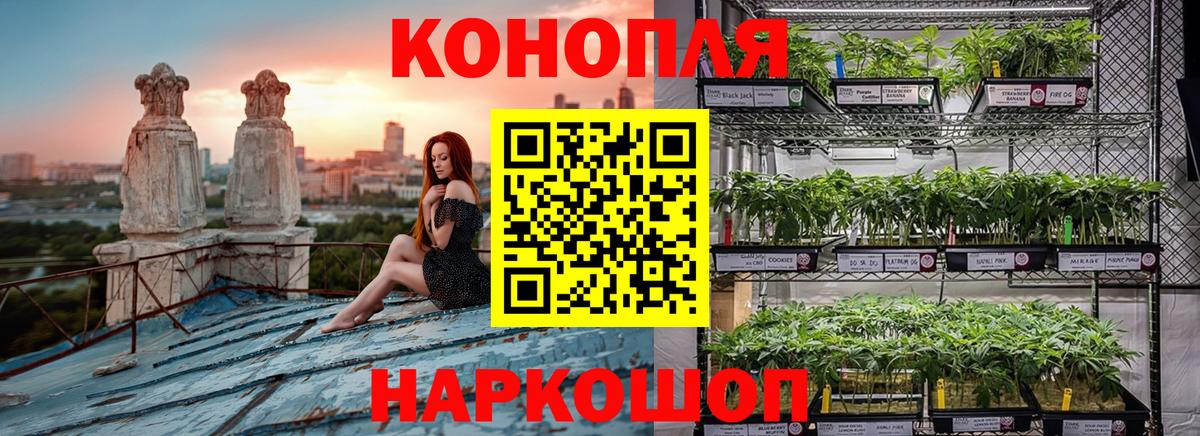 Бошки марихуана тримм Сальск